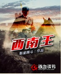 西南王（魁星踢斗所著小说）