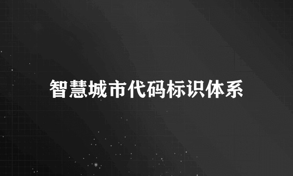 智慧城市代码标识体系