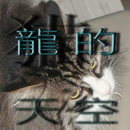龙的天空（网络小说论坛）
