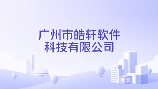 广州市皓轩软件科技有限公司