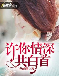 许你情深共白首（夜阑珊创作的小说作品）