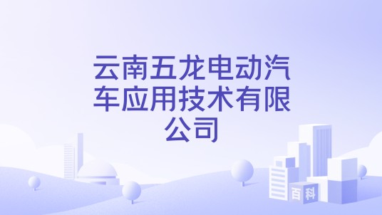 云南五龙电动汽车应用技术有限公司