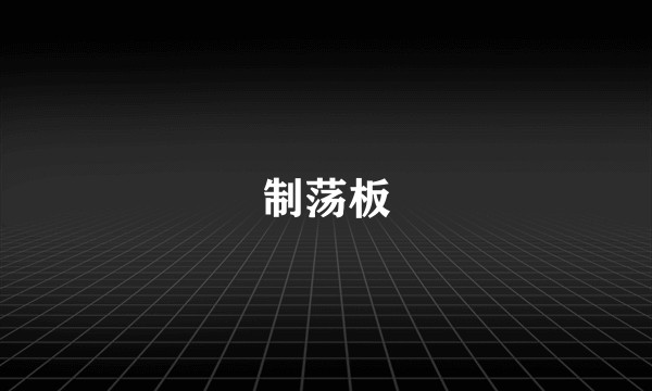制荡板