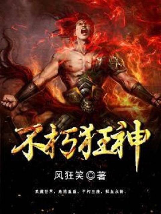 不朽狂神（风狂笑创作的玄幻类网络小说）