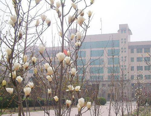 正定县第一中学
