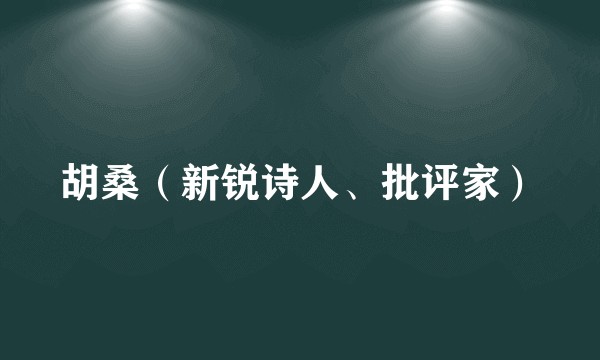 胡桑（新锐诗人、批评家）