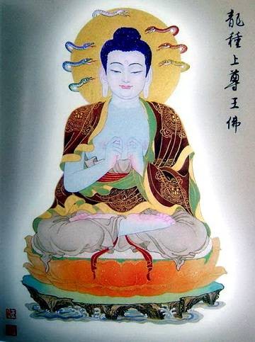 南无龙尊王佛