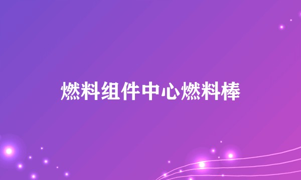 燃料组件中心燃料棒