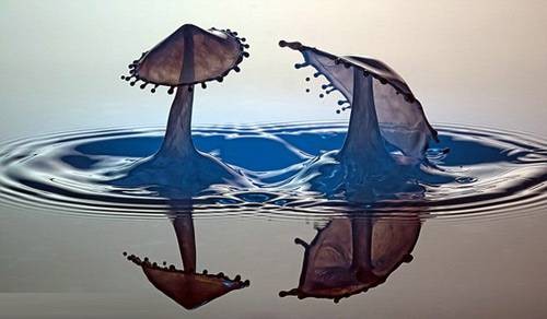 水性（一个人对水的掌握程度）