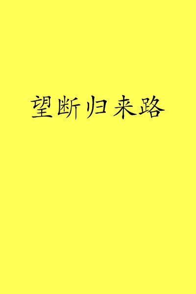 望断归来路