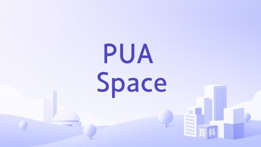 PUA Space