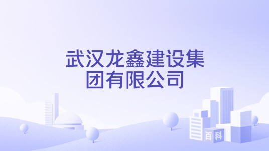 武汉龙鑫建设集团有限公司