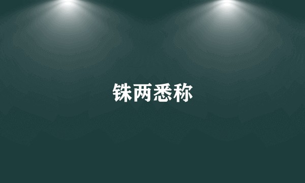 铢两悉称