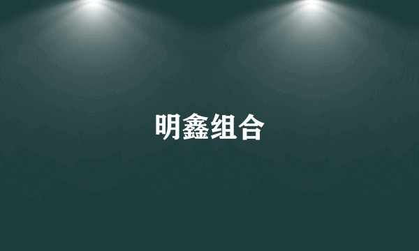 明鑫组合