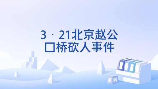 3·21北京赵公口桥砍人事件