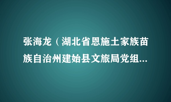 张海龙（湖北省恩施土家族苗族自治州建始县文旅局党组副书记、县文化和旅游事业发展中心主任）