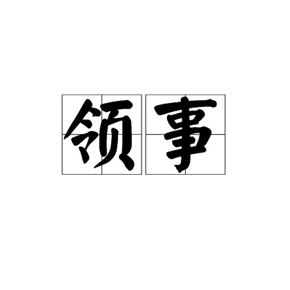领事(外交人员职务)