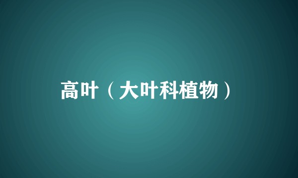 高叶（大叶科植物）