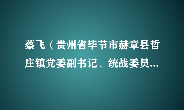 蔡飞（贵州省毕节市赫章县哲庄镇党委副书记、统战委员、政法委员）