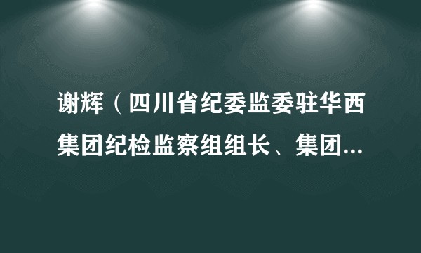 谢辉(四川省纪委监委驻华西集团纪检监察组组长、集团党委委员、纪委书记)