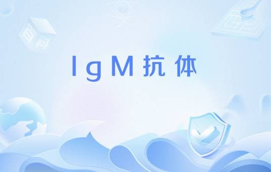 IgM抗体