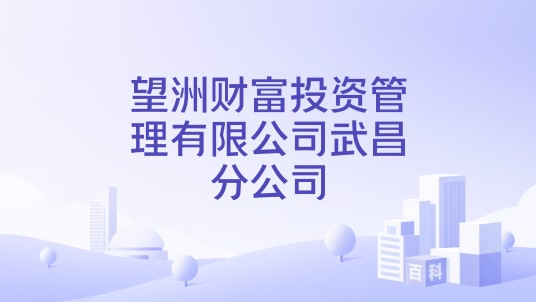 望洲财富投资管理有限公司武昌分公司