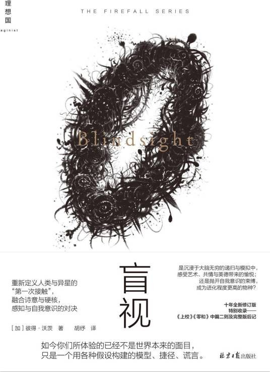 盲视（2021年北京日报出版社出版的图书）