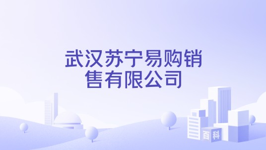 武汉苏宁易购销售有限公司
