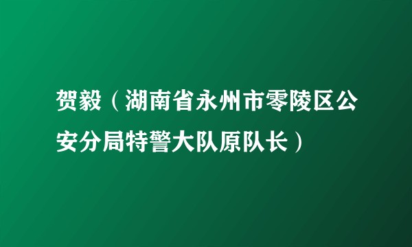 贺毅（湖南省永州市零陵区公安分局特警大队原队长）