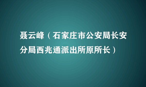 聂云峰（石家庄市公安局长安分局西兆通派出所原所长）