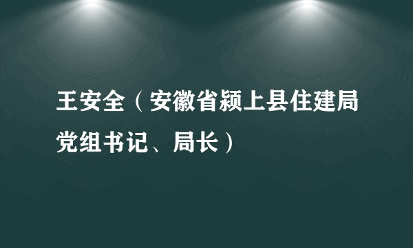 王安全（安徽省颍上县住建局党组书记、局长）