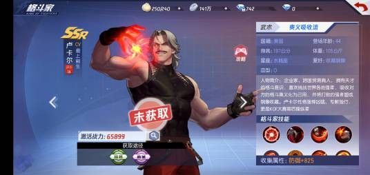 卢卡尔（手游《拳皇命运》中的一名SSR级英雄角色）