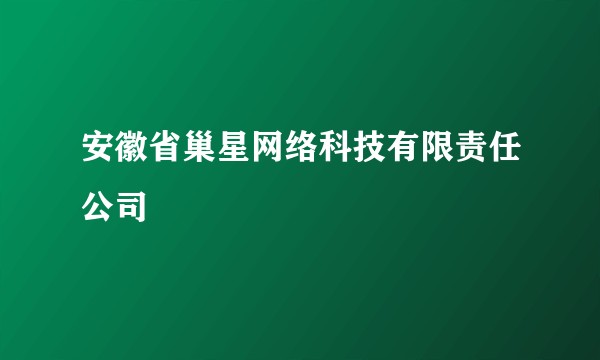 安徽省巢星网络科技有限责任公司