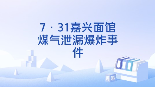 7·31嘉兴面馆煤气泄漏爆炸事件