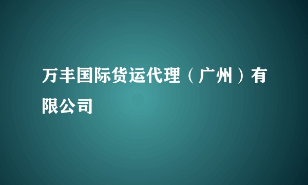 万丰国际货运代理（广州）有限公司