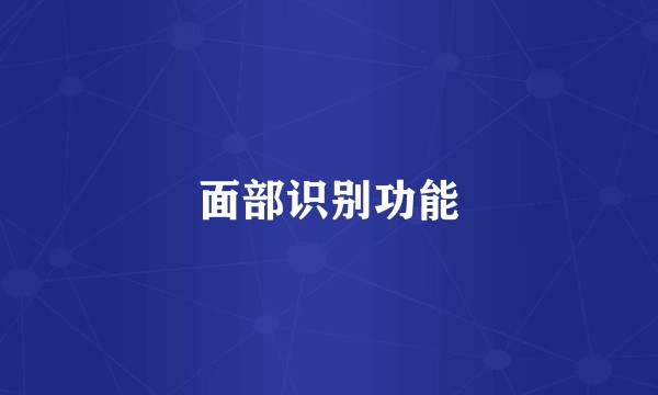 面部识别功能