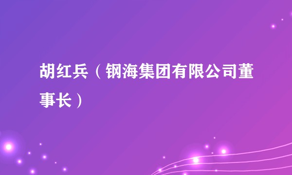 胡红兵（钢海集团有限公司董事长）