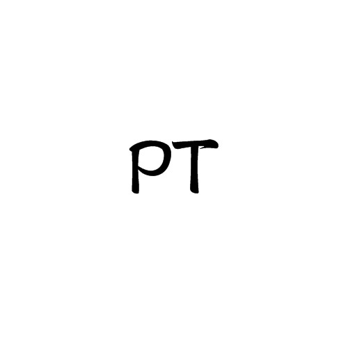 PT（字母缩写）