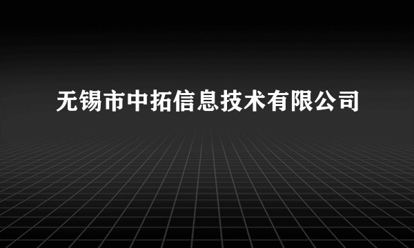 无锡市中拓信息技术有限公司