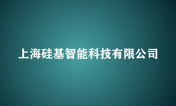 上海硅基智能科技有限公司