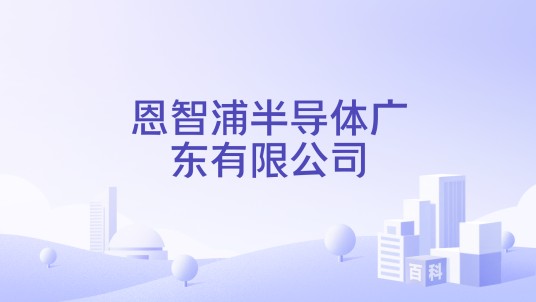 恩智浦半导体广东有限公司