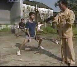壮拳（广西壮族地区出现的壮族武术）