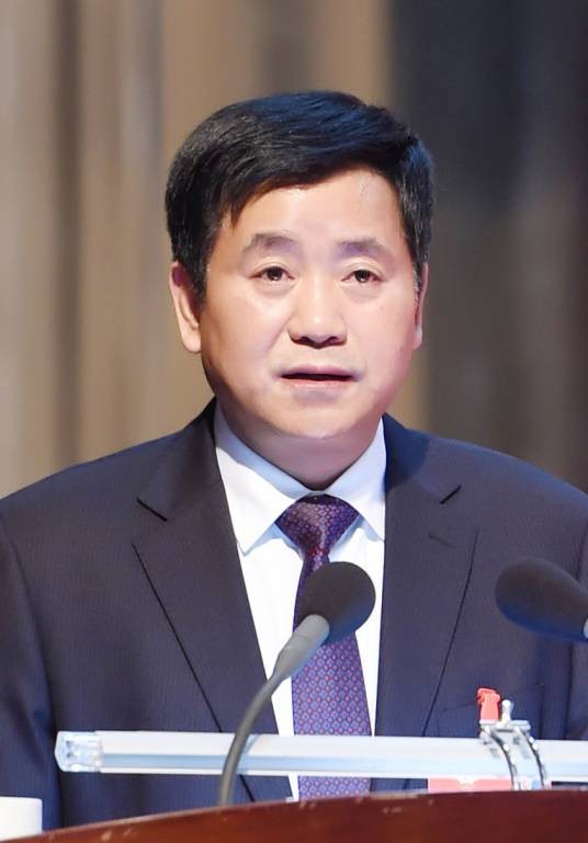 张金良（杭州市临安区政协党组书记、主席）