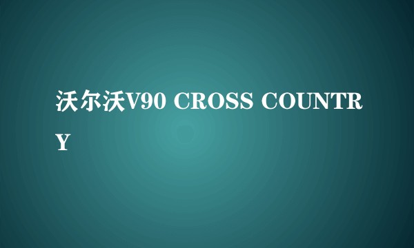 沃尔沃V90 CROSS COUNTRY