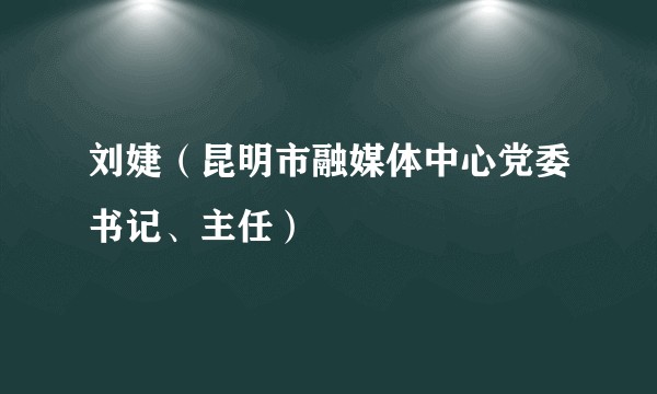 刘婕（昆明市融媒体中心党委书记、主任）