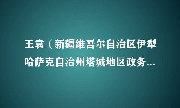 王袁(新疆维吾尔自治区伊犁哈萨克自治州塔城地区政务服务与公共资源交易中心党组成员、副主任)