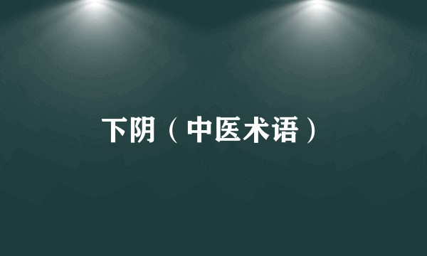 下阴（中医术语）