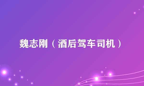 魏志刚(酒后驾车司机)