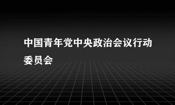 中国青年党中央政治会议行动委员会