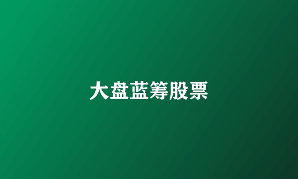 大盘蓝筹股票